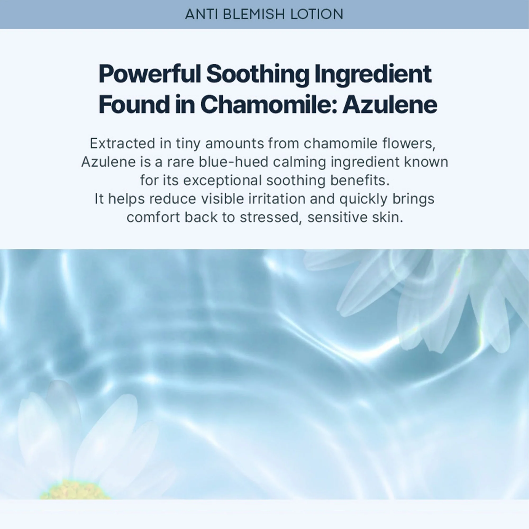 Azulene Anti Blemish Lotion - Image 4